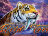 Wild Tooth Slot / Pokie / Fruit / Gaming / Poker Machine Personality Panel